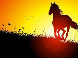 horse_in_sunset
