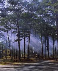 dalat_hoang_hon