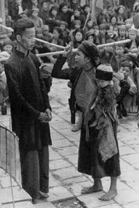 dau_to_cai_cach_ruong_dat