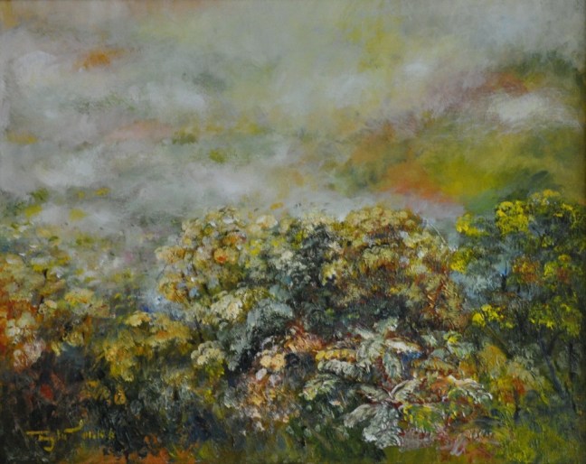 Shenandoah trong mù sương 1