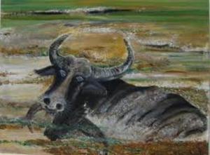 trau_dam_bun-tran_thi_laihong