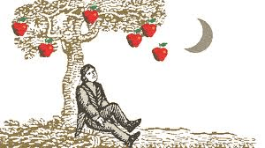 newton-theory_of_gravitation