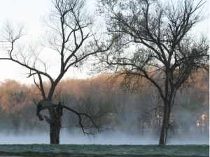 spring_foggy_morning