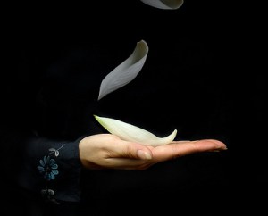 an_tru_trong_hien_tai