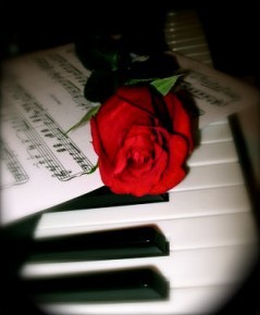 rose_on_piano_keyboard