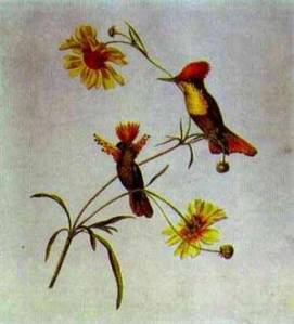 birds_and_flowers-feodor_tolstoy