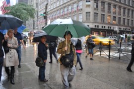 dinh_cuong_che_du_di_duoi_mua