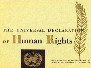 udhr