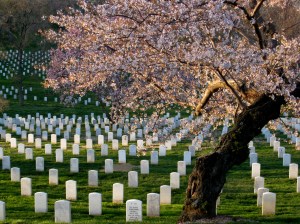 arlington_cemetery