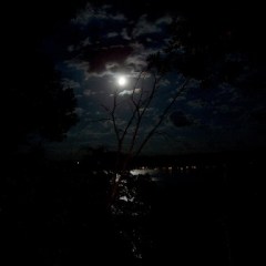dark_night_lake_series_1