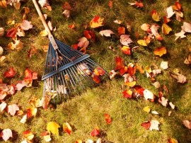 raking_leaves