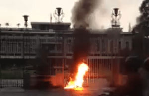 ngon_duoc_le_thi_tuyet_mai