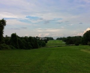 dong_co-pham_cao_hoang