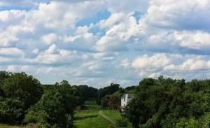 nha_trong_rung_scibilia-pham_cao_hoang