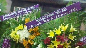 vong_hoa_phung_dieu_huynh_anh_tri_1