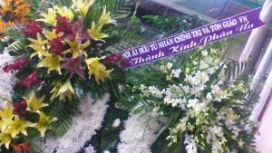 vong_hoa_phung_dieu_huynh_anh_tri_2