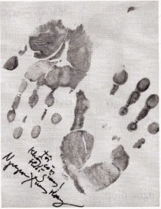 dau_tay_nguyen_xuan_hoang