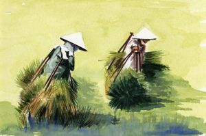 ganh+lua-alain_fontena