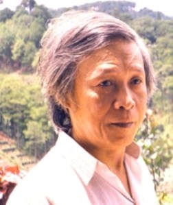 nguyen_minh