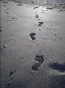 bare_footprints