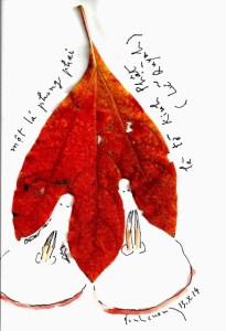 chiec_la_luom_tu_bong_chieu-dinh_cuong