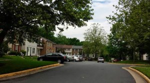 duong_ngua_o-pham_cao_hoang