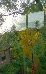 nhung_chiec_la_vang-duyen