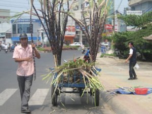 ban_mia_dao_binh_duong