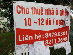 bang-cho_thue_nha