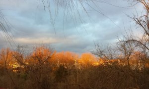 scibilia_ngay_cuoi_thu-pch