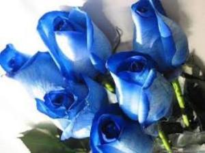 blue_roses