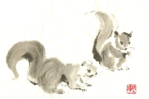 squirrels