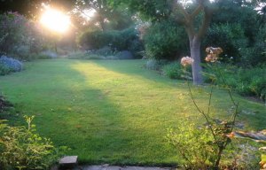 garden_evening