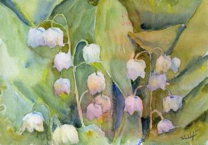 muguet_flower-john_wright