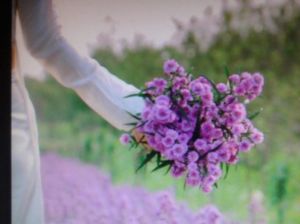 thieu_nu_cam_hoa_thach_thao