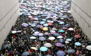 ung_vien_thi_tuyen_cong_chuc