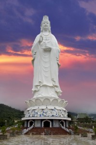 tuong_quan_the_am_bo_tat