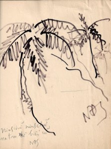 cay_dua_bai_bien_ninh_chu-nguyen_duc_son