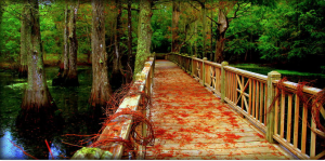 cau_bac_ngang_mua-thu