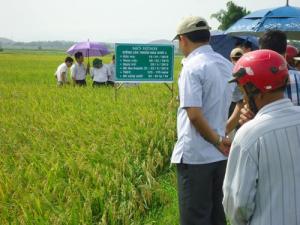 dai_bieu_tham_quan_ha_tinh