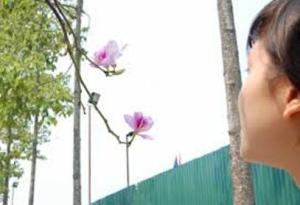 hy_vong_trong_nang_xuan