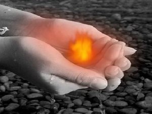 dom_lua_trong_ban_tay