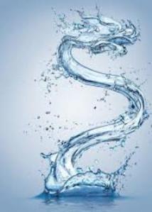 water_dragon