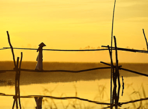 thieu_nu_qua_cau_tre