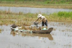 dong_bang_can_phu_sa