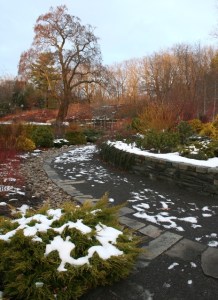 winter_garden