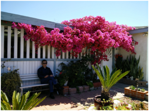 tran_huy_sao_truoc_hien_nha