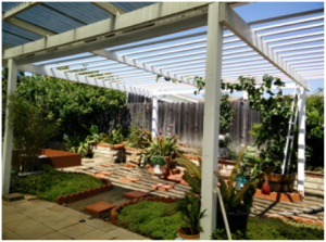 nang_vuon_sau-tran_huy_sao