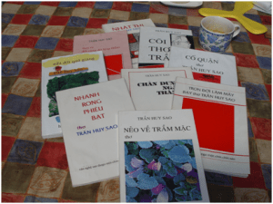 tac_pham_tran_huy_sao