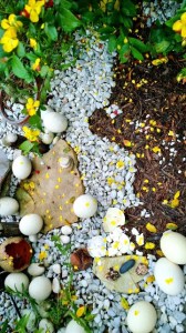 ban_do_vn_bang_da_xep-ttlh